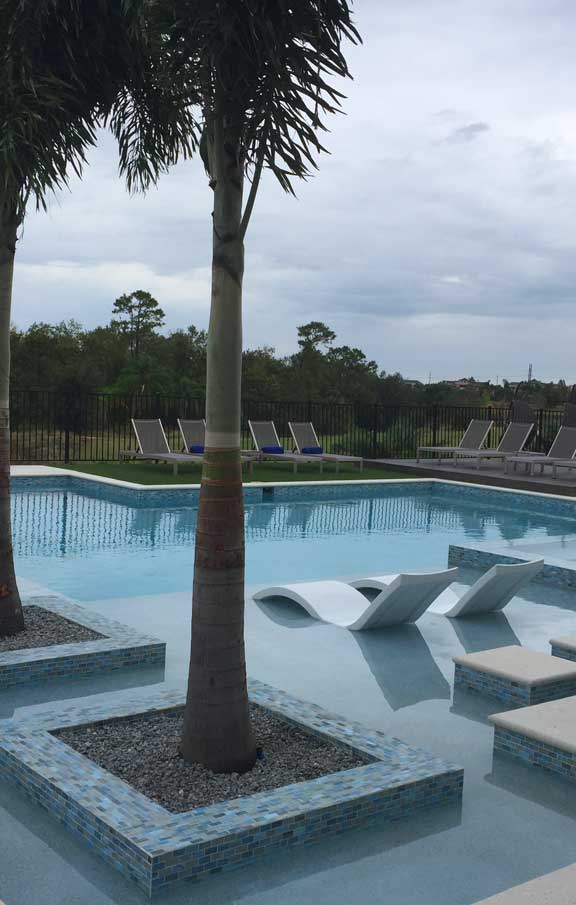 linear pool design with palm planters step path